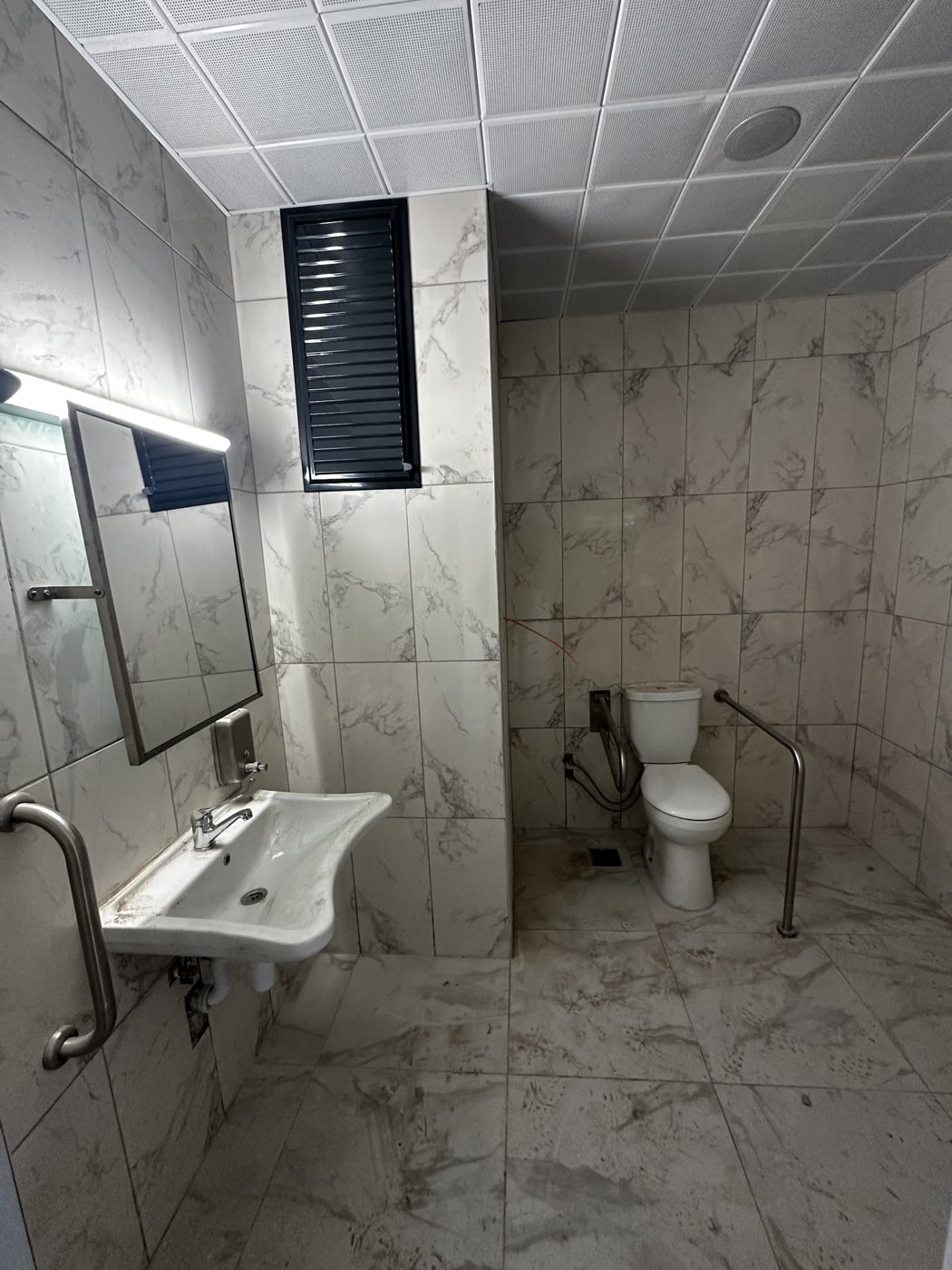 Tutunma barlı engelli WC ve lavabo
